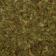 Stevia Leaf